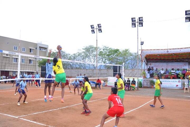 sports